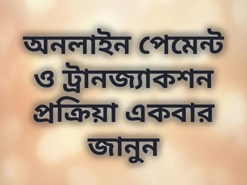 পেমেন্ট গাইড